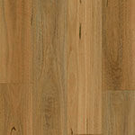 Aqua Luxe - New England Spotted Gum