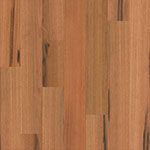Compact - Spotted Gum