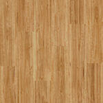 Bloom - Urban Blackbutt